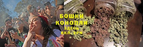 прущие крисы Арсеньев